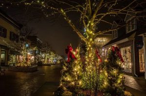 private chauffeur for christmas lights tours in new jersey
