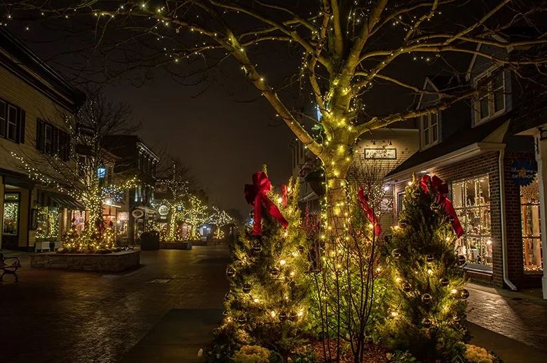 private chauffeur for christmas lights tours in new jersey